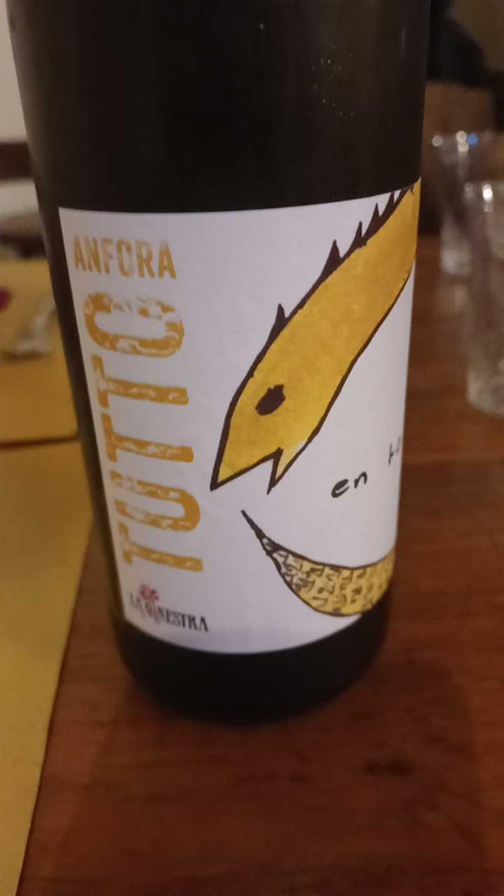 Tutto Anphora Rosso - La Ginestra - Dario Nocci, Alessandro Bicchi & Matteo Rinaldi 