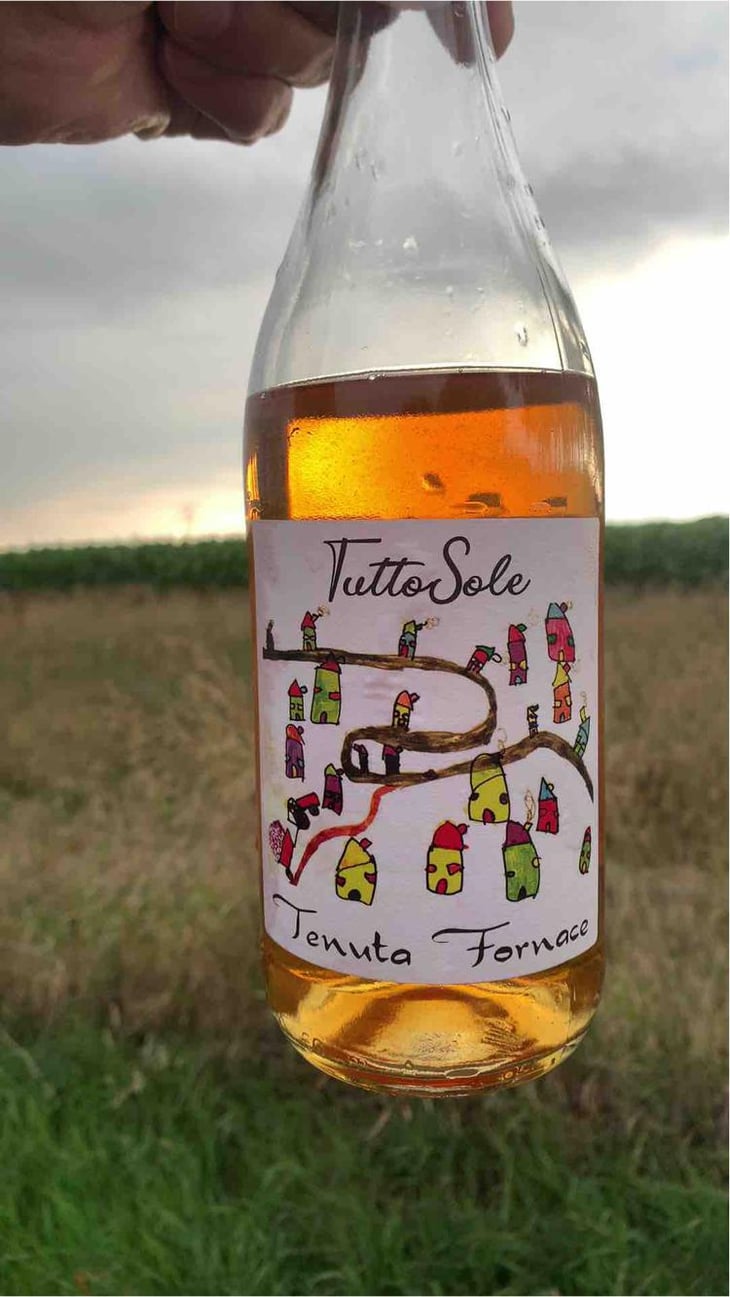 Tutto sole - Tenuta Fornace - Andrea Rossi 
