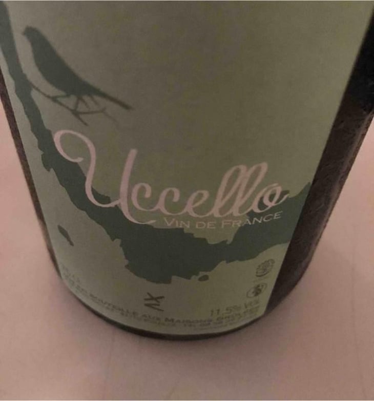 Uccello - Domaine des Maisons Brûlées - Corinne & Paul Gillet 