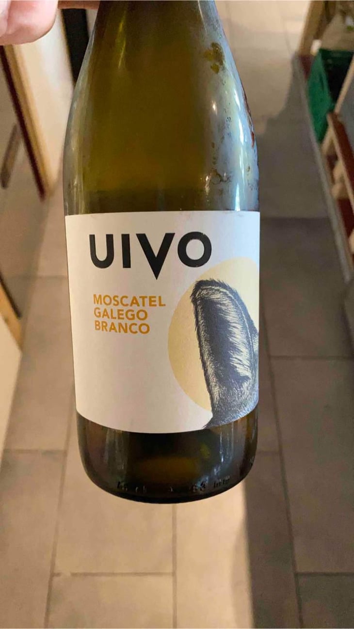 Uivo Moscatel Galego Branco - Folias de Baco - Tiago Sampaio -2022