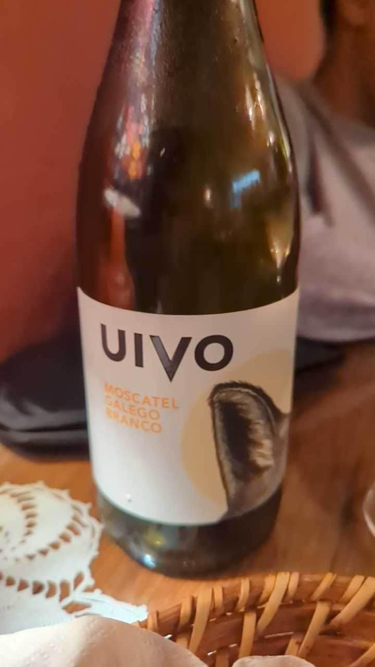 Uivo Moscatel Galego Branco - Folias de Baco - Tiago Sampaio -2022
