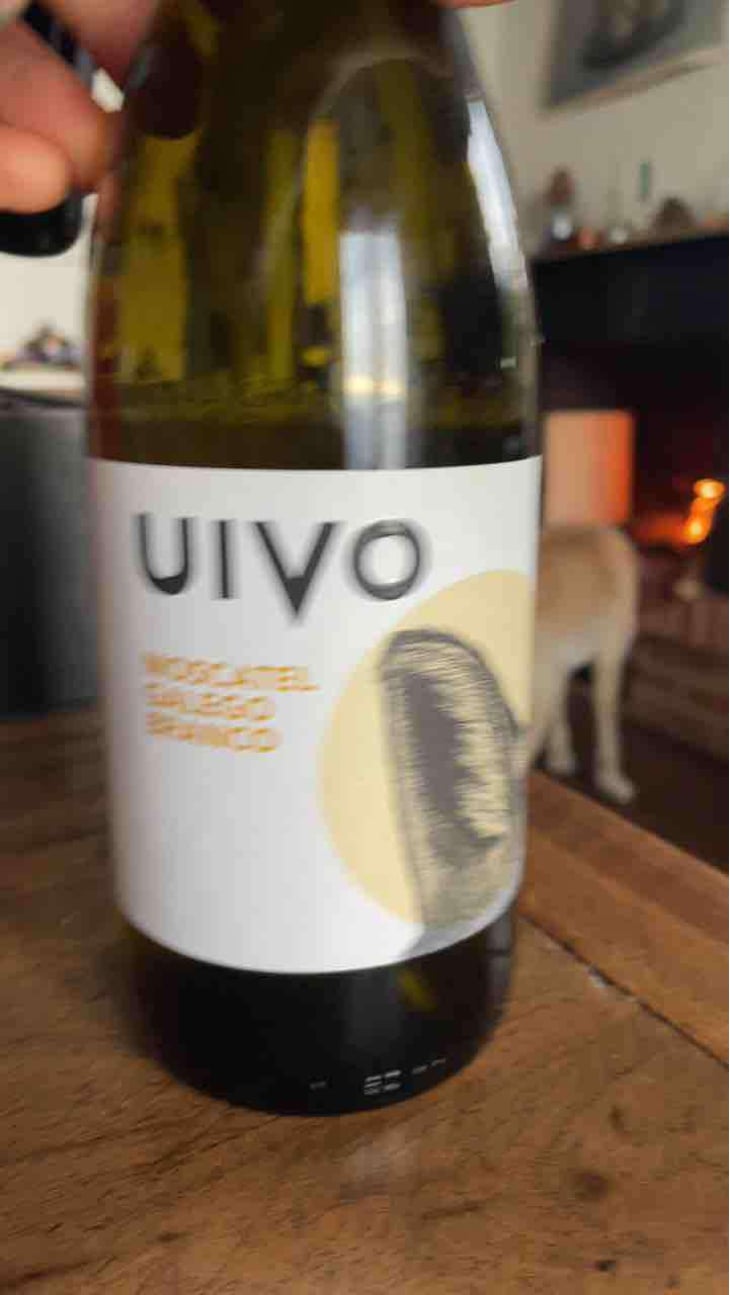 Uivo Moscatel Galego Branco - Folias de Baco - Tiago Sampaio -2022