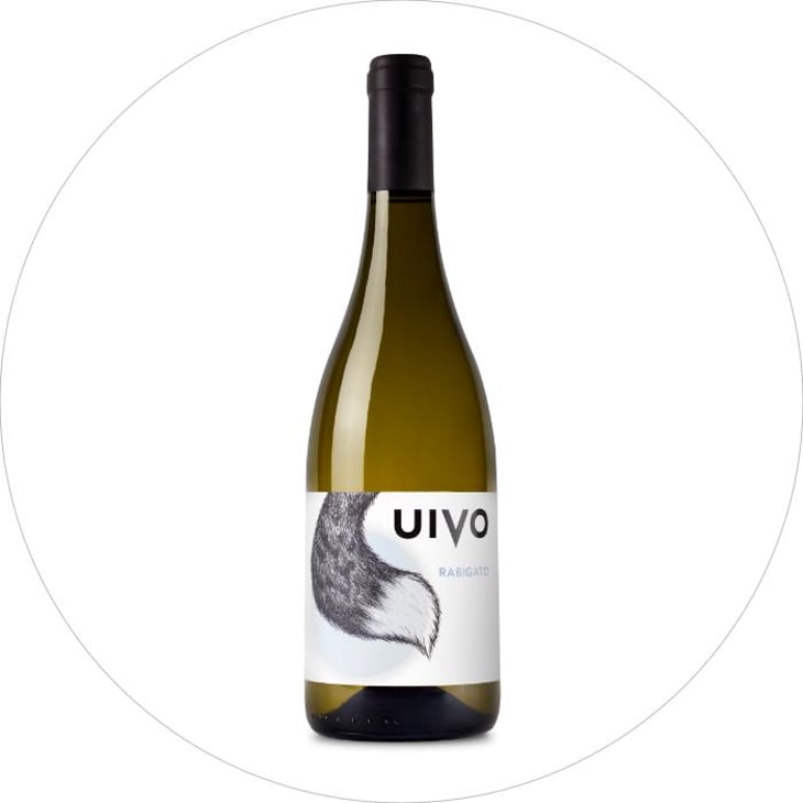 Uivo Rabigato - Folias de Baco - Tiago Sampaio 