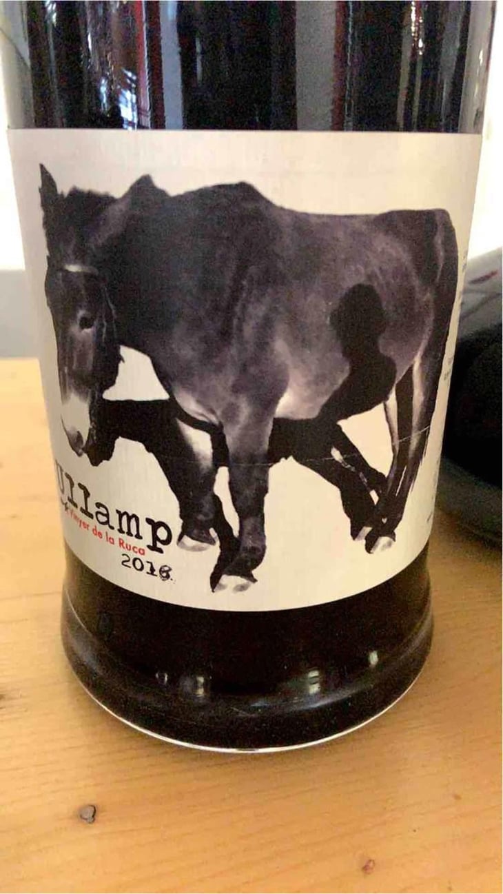 Ullamp - Vinyer de la Ruca - Manuel di Vecchi Staraz 