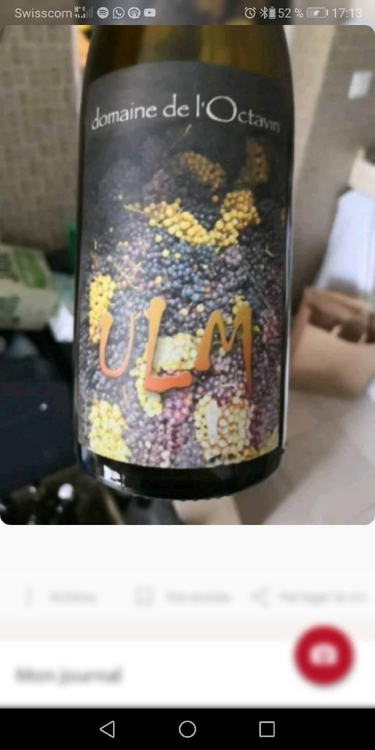 Ulm - Domaine de l'Octavin - Alice Bouvot 