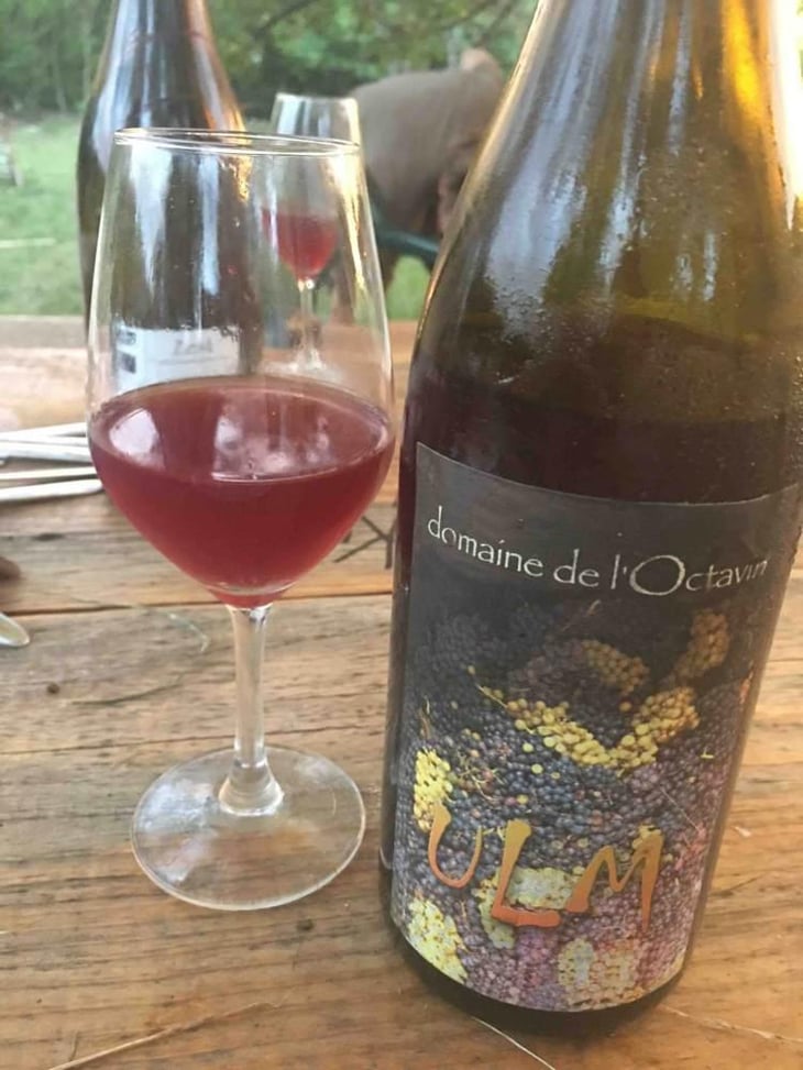 Ulm - Domaine de l'Octavin - Alice Bouvot 
