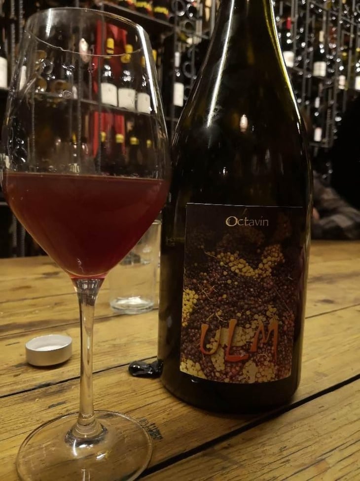 Ulm - Domaine de l'Octavin - Alice Bouvot 