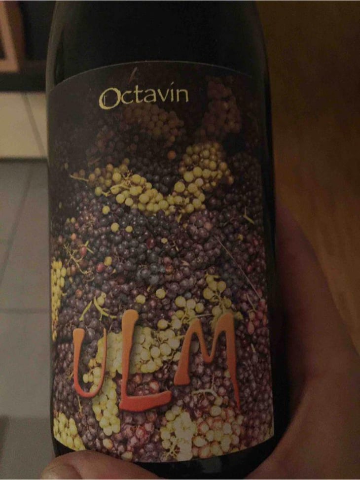 Ulm - Domaine de l'Octavin - Alice Bouvot 
