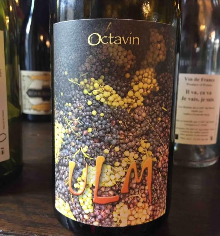Ulm - Domaine de l'Octavin - Alice Bouvot 
