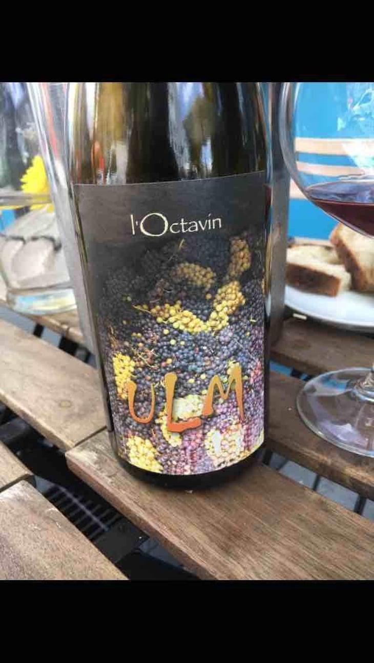 Ulm - Domaine de l'Octavin - Alice Bouvot 