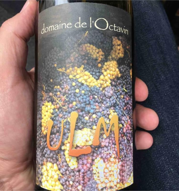 Ulm - Domaine de l'Octavin - Alice Bouvot 