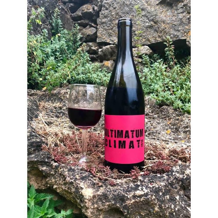 Ultimatum Climat - Clos des Vignes du Maynes - Julien Guillot 