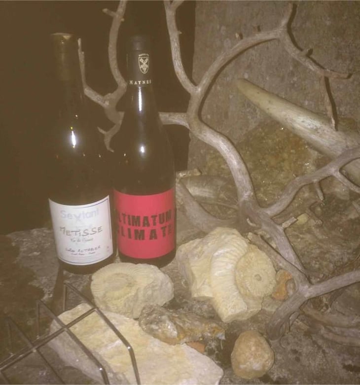 Ultimatum Climat - Clos des Vignes du Maynes - Julien Guillot 