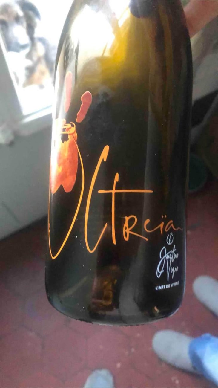 Ultreia (Amphore) - Justine Vigne - Justine Vigne 