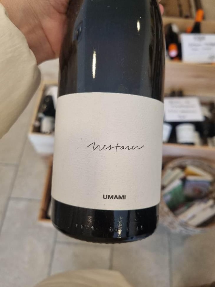 Umami - Milan Nestarec - Milan Nestarec 