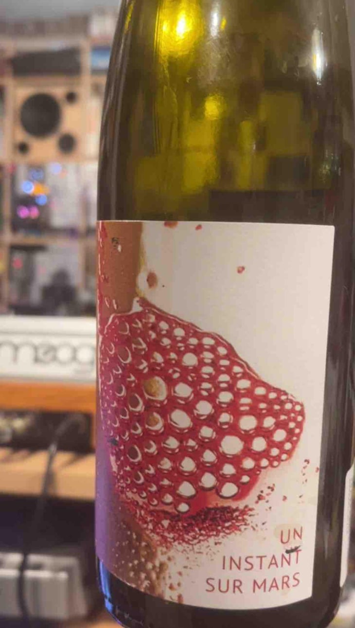 Un Instant Sur Terre - Vignoble du Rêveur - Mathieu Deiss & Emmanuelle Milan 