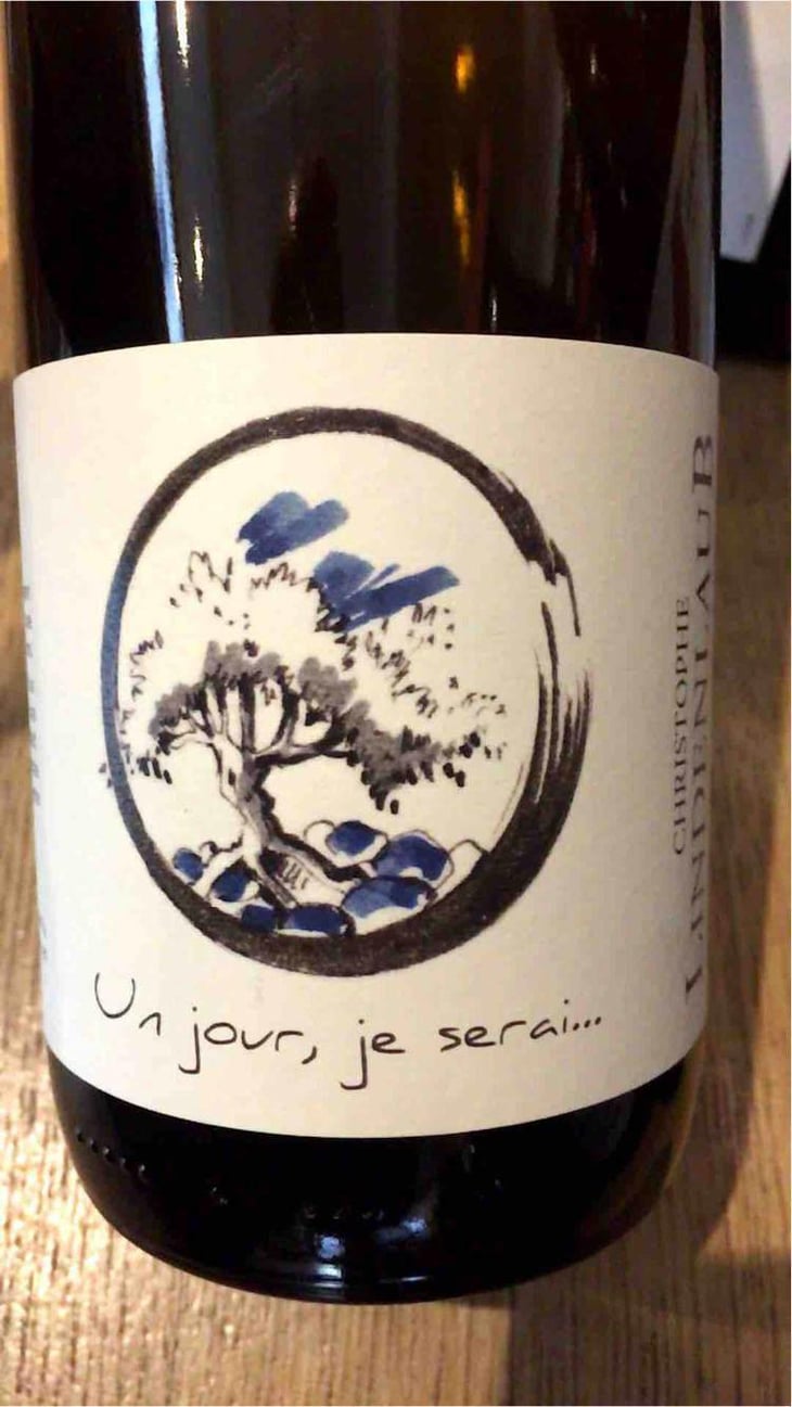 Un Jour, Je Serai - Lindenlaub - Christophe Lindenlaub 