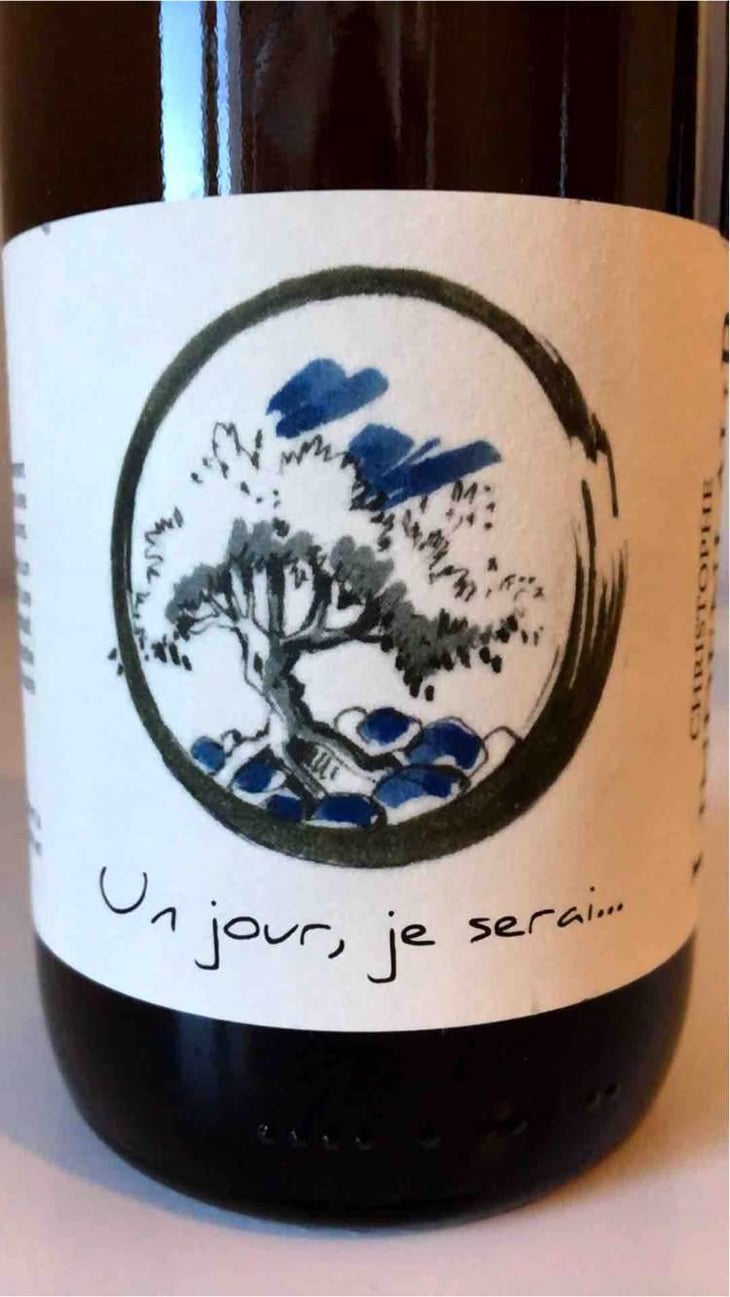 Un Jour, Je Serai - Lindenlaub - Christophe Lindenlaub 