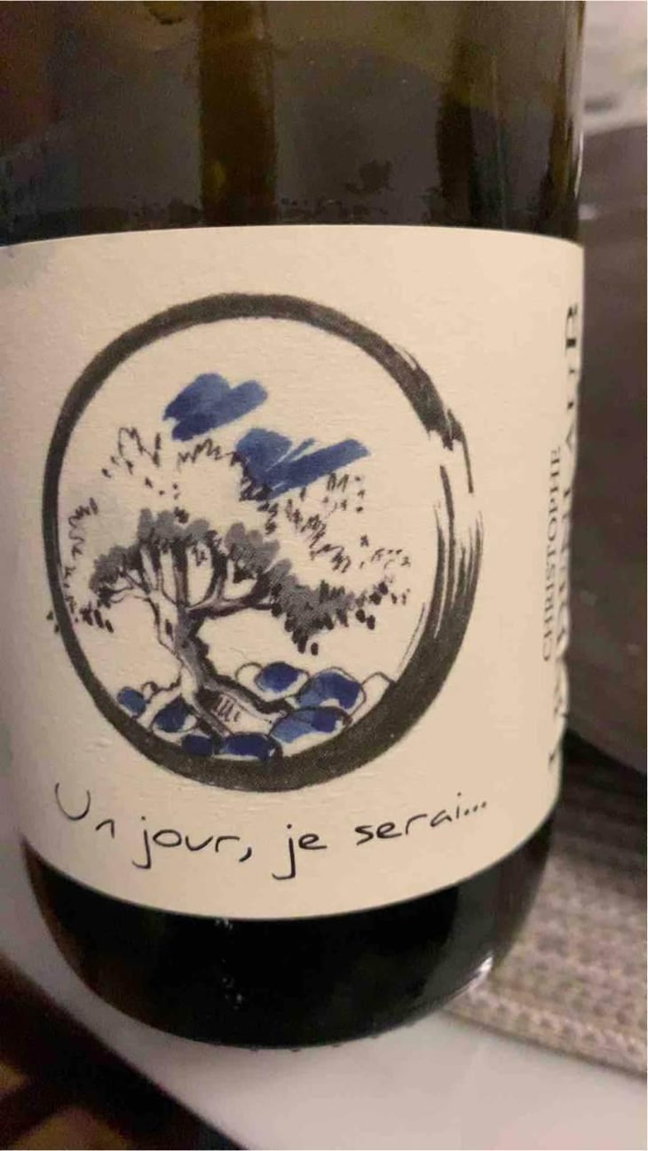 Un Jour, Je Serai - Lindenlaub - Christophe Lindenlaub 