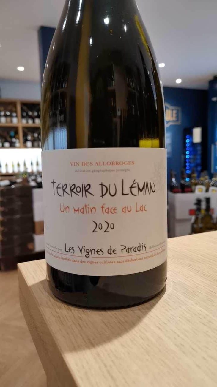 Un Matin Face Au Lac - Les Vignes de Paradis - Dominique Lucas 