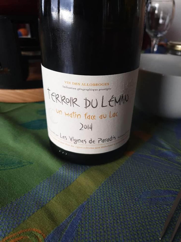 Un Matin Face Au Lac - Les Vignes de Paradis - Dominique Lucas 