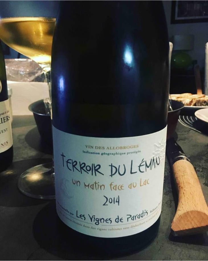 Un Matin Face Au Lac - Les Vignes de Paradis - Dominique Lucas 