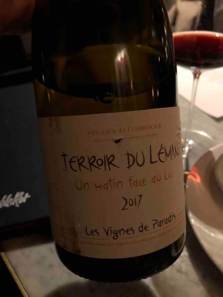 Un Matin Face Au Lac - Les Vignes de Paradis - Dominique Lucas 