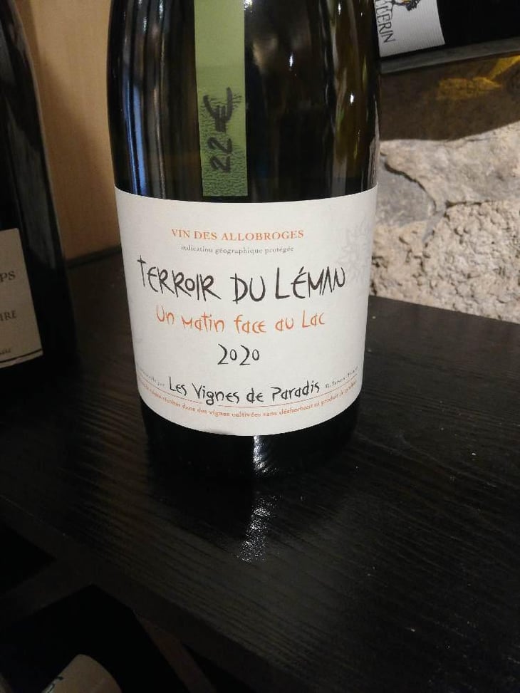 Un Matin Face Au Lac - Les Vignes de Paradis - Dominique Lucas 