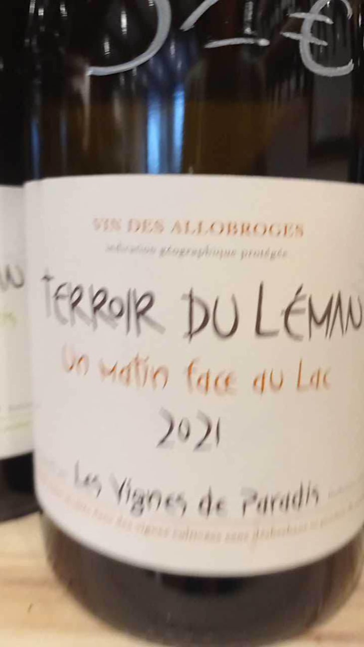 Un Matin Face Au Lac - Les Vignes de Paradis - Dominique Lucas 