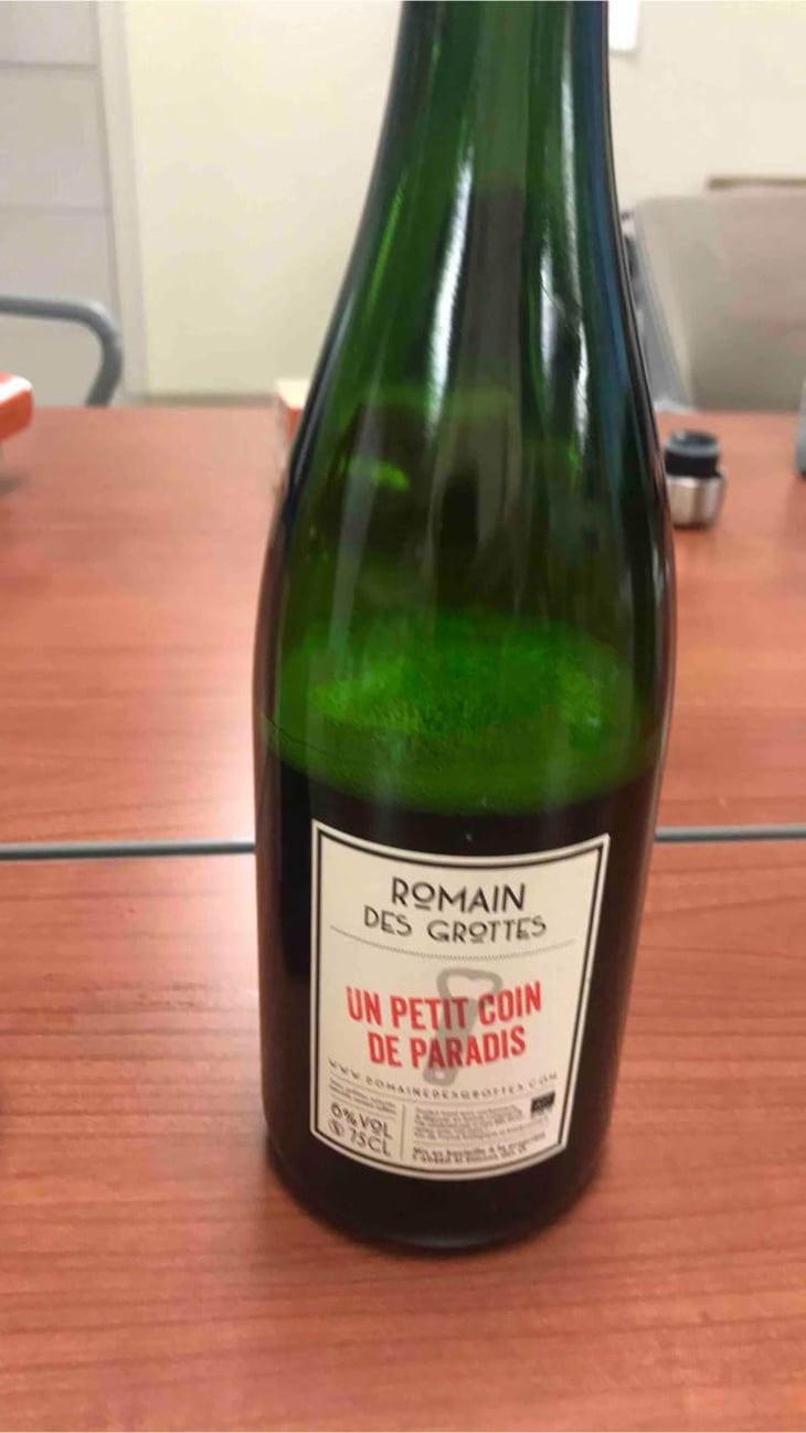 Un Petit Coin de Paradis - Domaine des Grottes - Romain des Grottes 