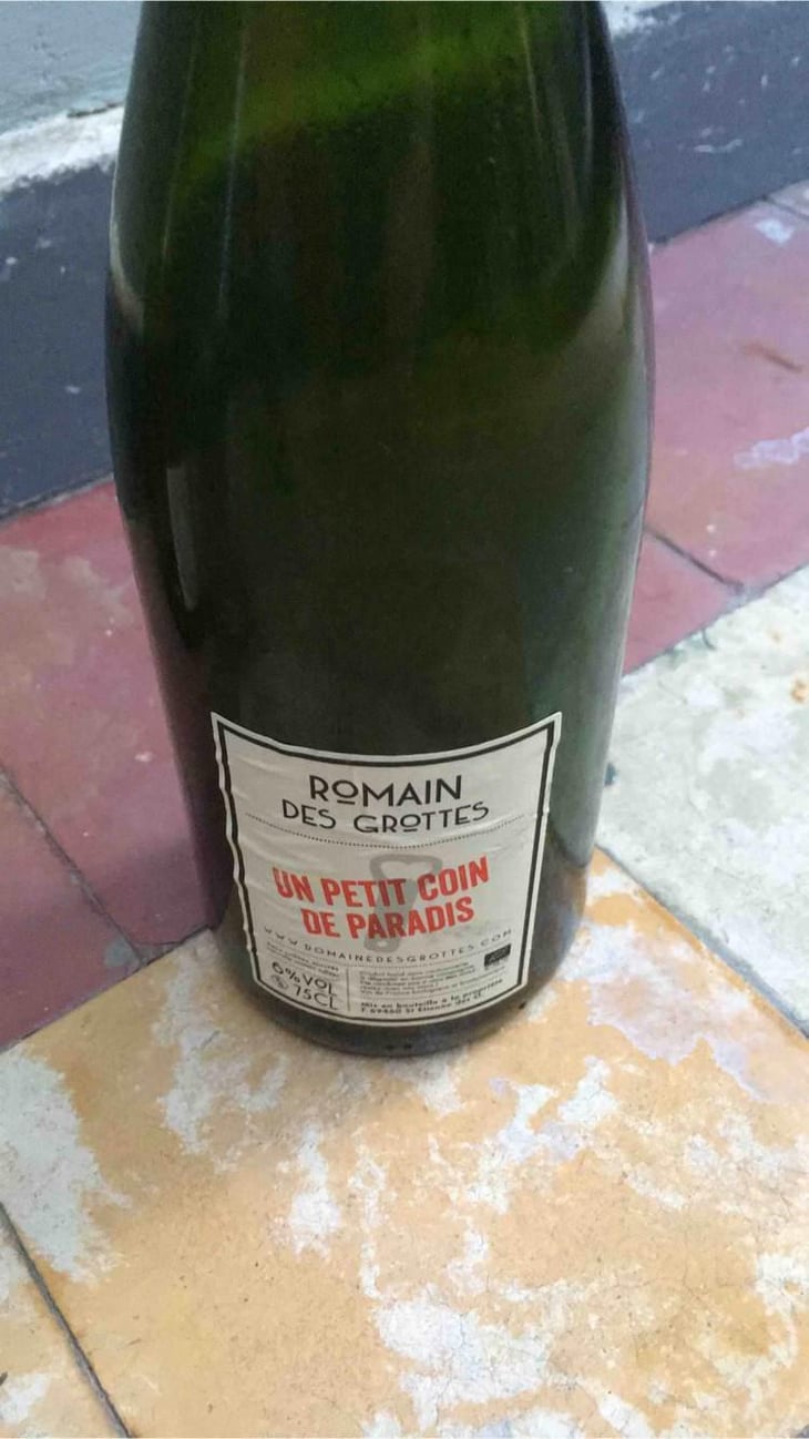 Un Petit Coin de Paradis - Domaine des Grottes - Romain des Grottes 