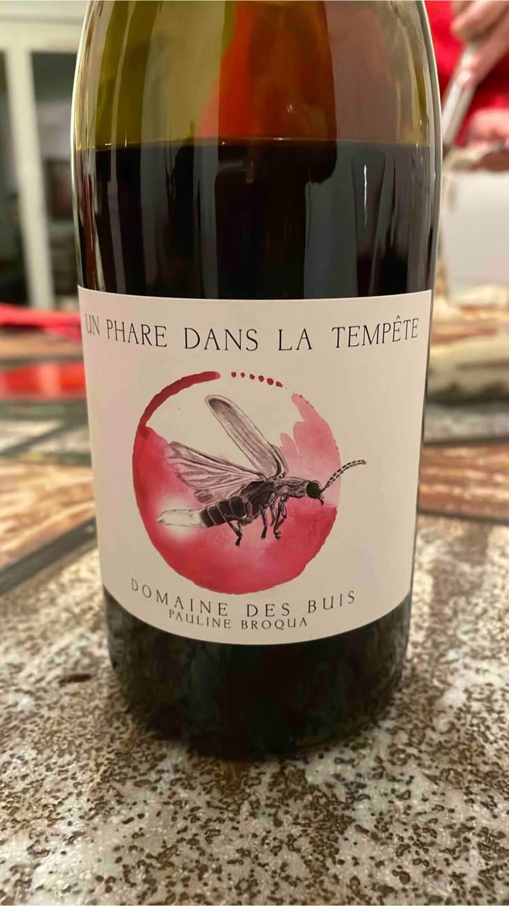 Un phare dans la tempête - Domaine des Buis - Pauline Broqua -2021