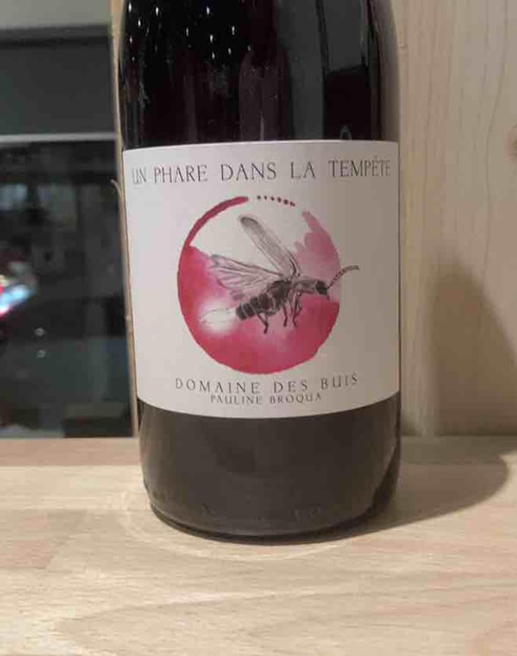Un phare dans la tempête - Domaine des Buis - Pauline Broqua -2021