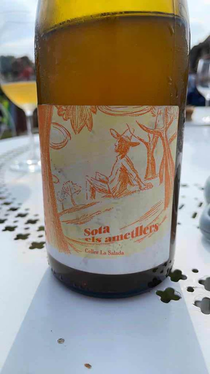 Sota els Ametllers - Celler La Salada - Toni Carbó 