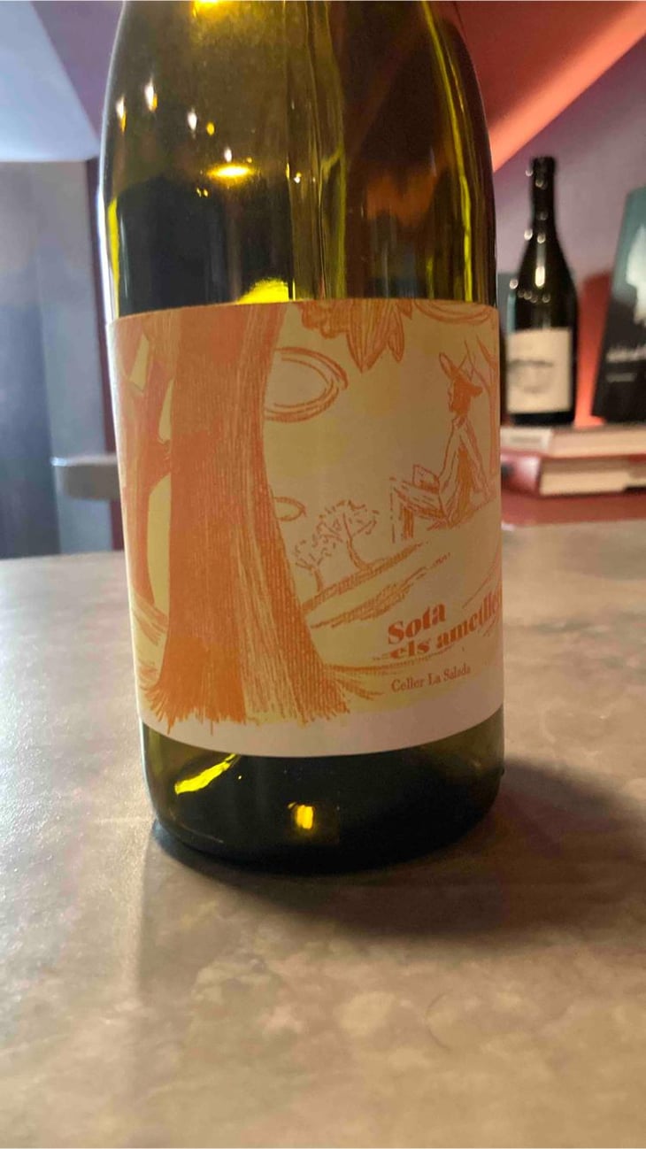 Sota els Ametllers - Celler La Salada - Toni Carbó 