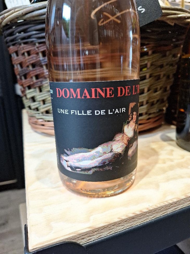 Une Fille De L’Air - Domaine de l'R - Frédéric Sigonneau -2022