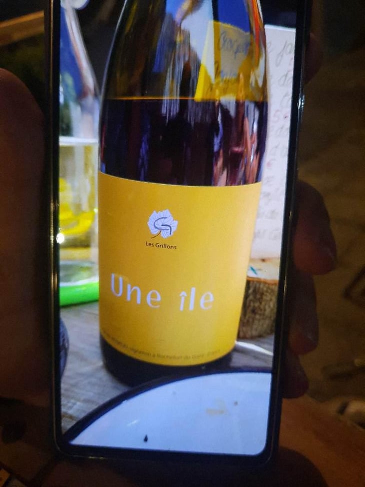 Une Île Rouge - Clos des Grillons - Nicolas Renaud 