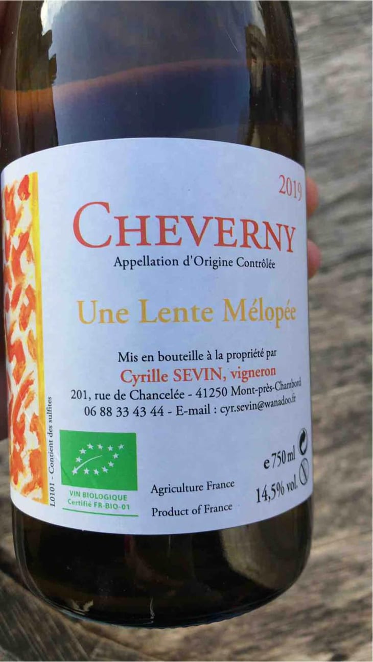 Une Lente Mélopée - Cyrille Sevin - Cyrille Sevin 