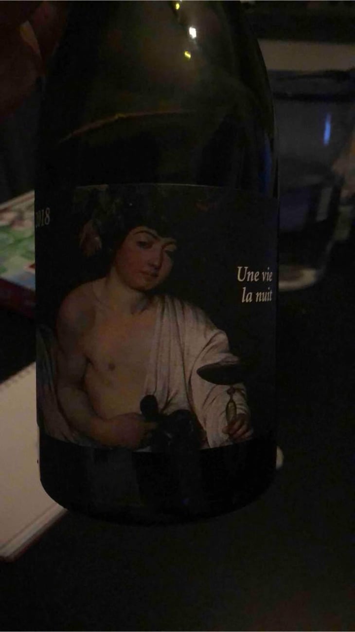 Une Vie La Nuit - Clos du Rouge Gorge - Cyril Fhal 