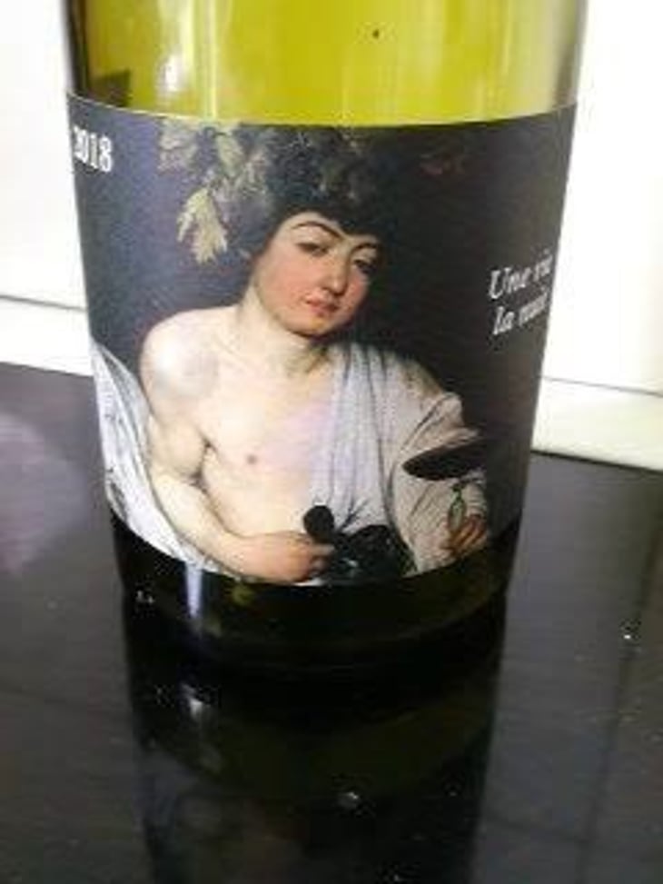 Une Vie La Nuit - Clos du Rouge Gorge - Cyril Fhal 