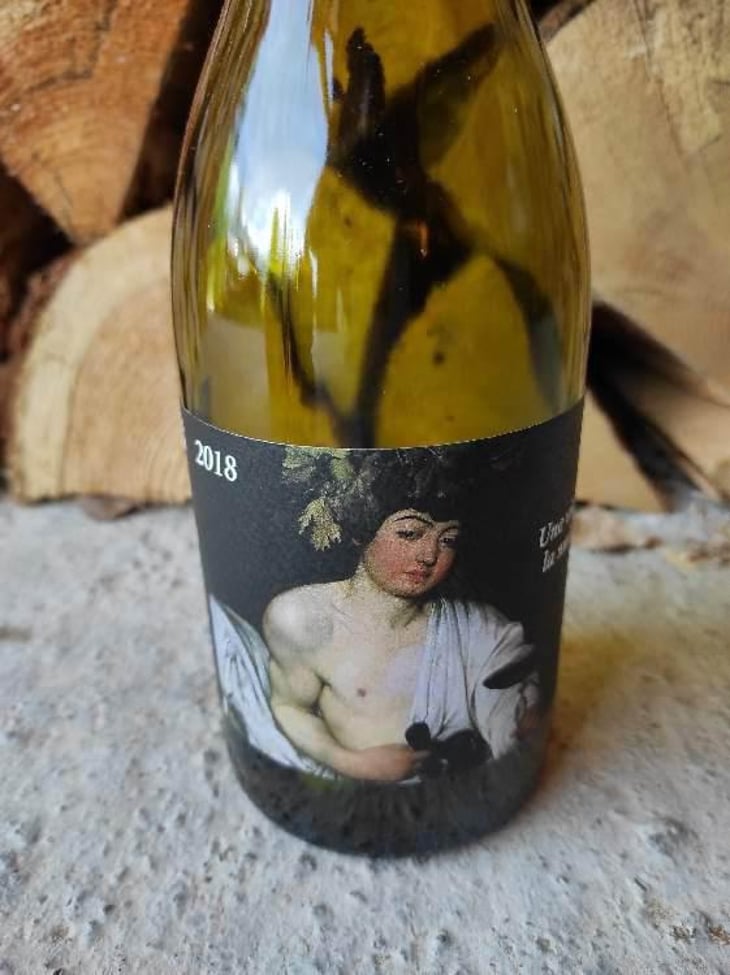 Une Vie La Nuit - Clos du Rouge Gorge - Cyril Fhal 
