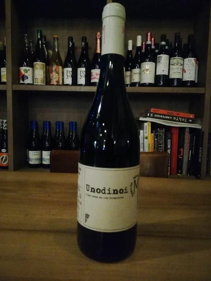 Unodinoi - Tenuta Macchiarola - Domenico Mangione 