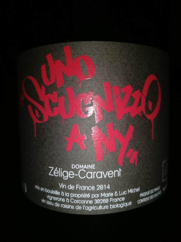 Uno Scugnizzo A N.Y - Zélige Caravent - Luc & Marie Michel 