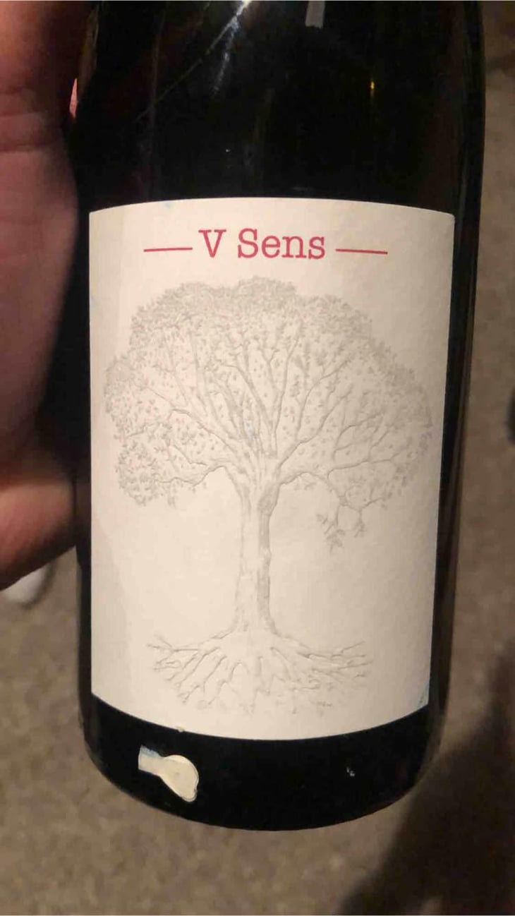 V Sens - Domaine de Bellevue - Jérôme Bretaudeau 