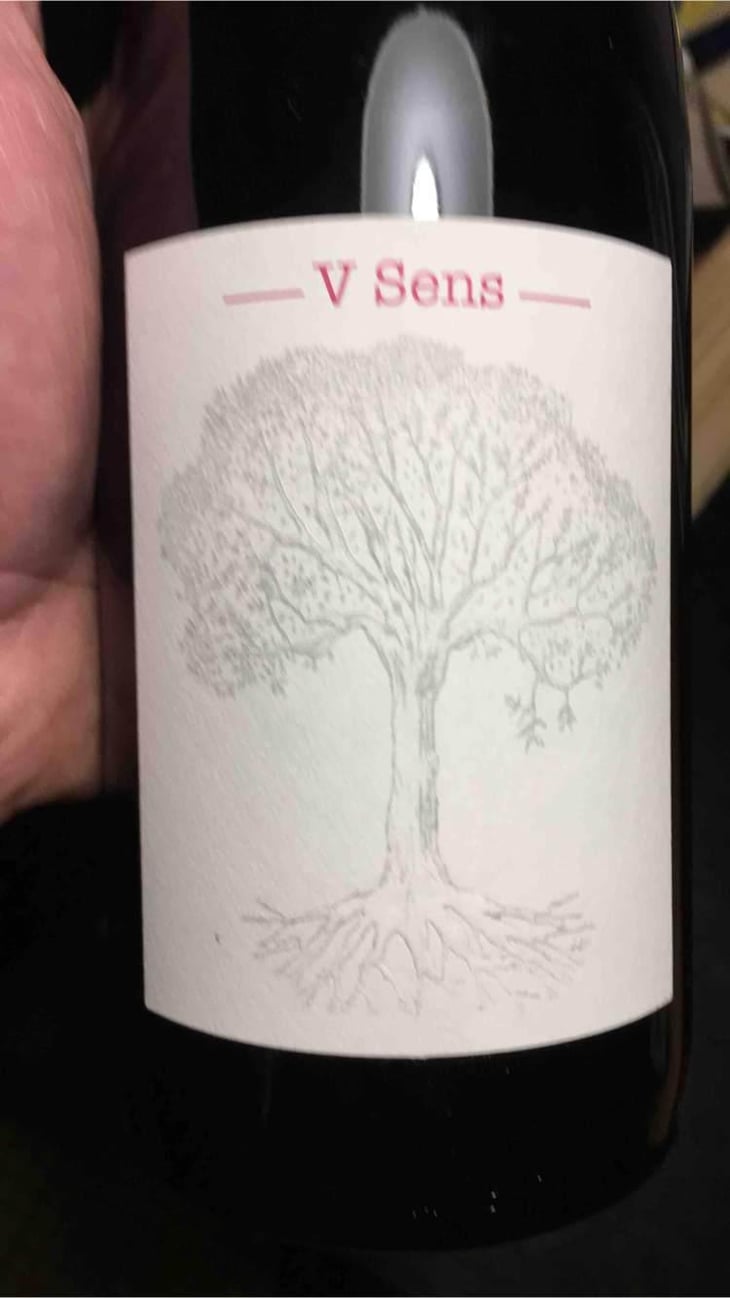 V Sens - Domaine de Bellevue - Jérôme Bretaudeau 