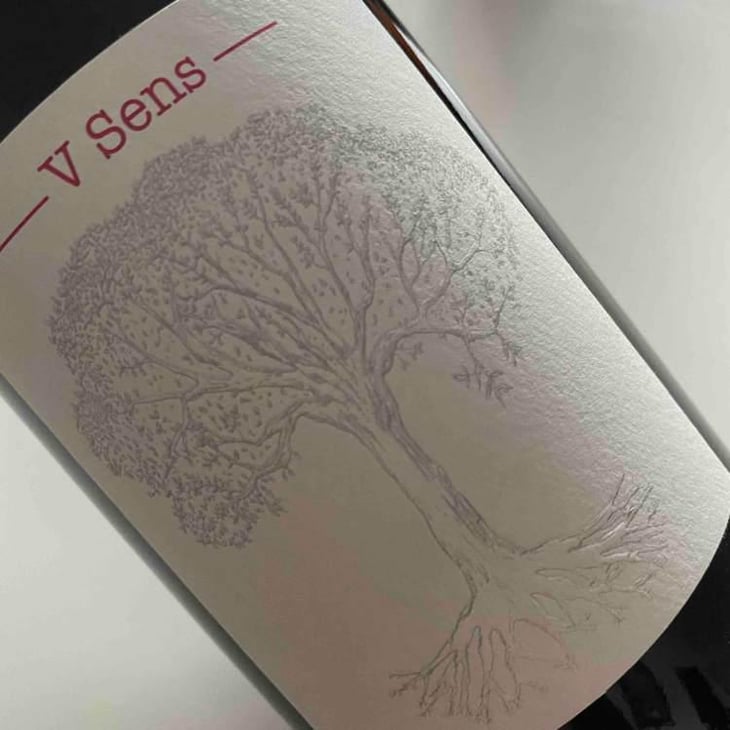 V Sens - Domaine de Bellevue - Jérôme Bretaudeau 