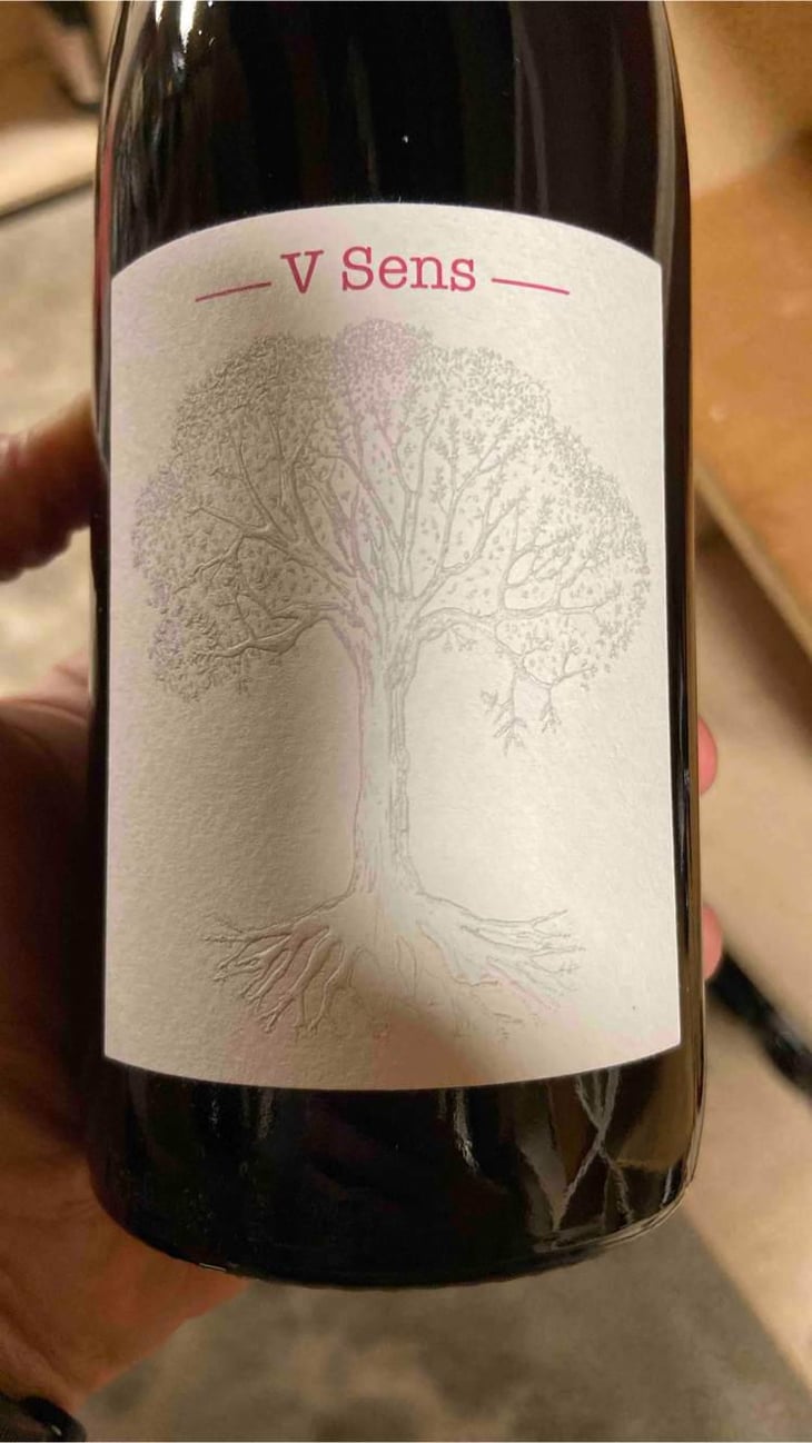 V Sens - Domaine de Bellevue - Jérôme Bretaudeau 