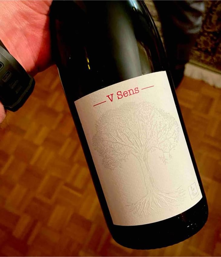 V Sens - Domaine de Bellevue - Jérôme Bretaudeau 