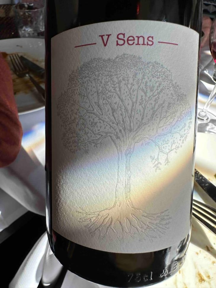 V Sens - Domaine de Bellevue - Jérôme Bretaudeau 