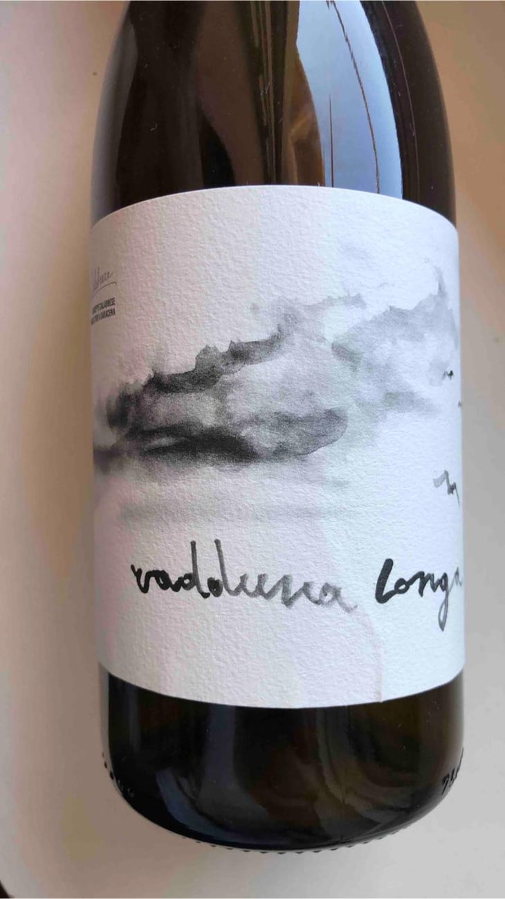 Vadduna longa - Giuseppe Calabrese - Giuseppe Calabrese -2021